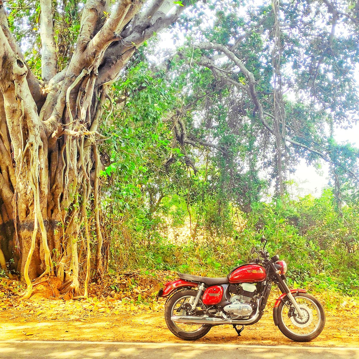 My love towards&nbsp;jawa